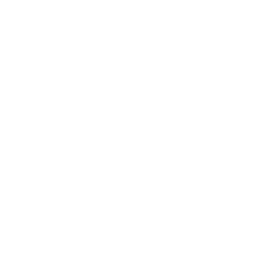 vomera