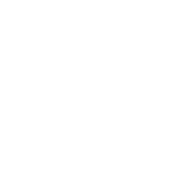 VBS